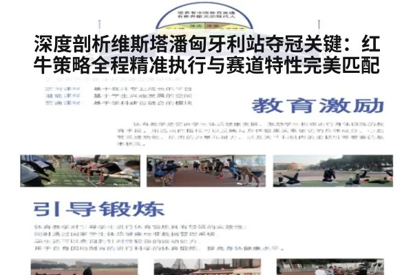 深度剖析维斯塔潘匈牙利站夺冠关键：红牛策略全程精准执行与赛道特性完美匹配