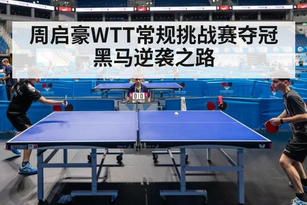 周启豪WTT常规挑战赛夺冠 黑马逆袭之路